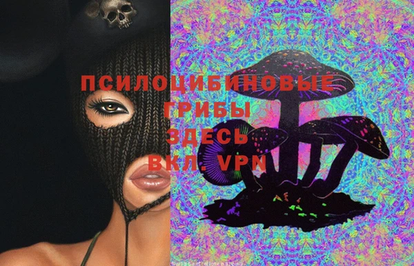 метамфетамин Алексин