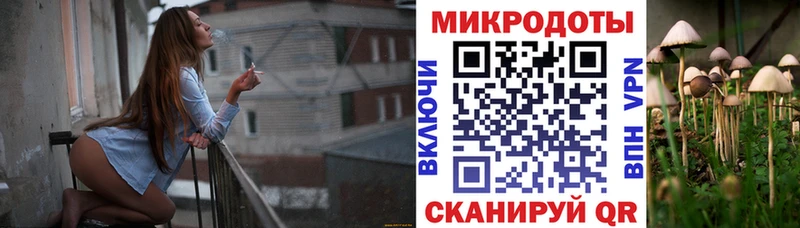 где можно купить наркотик  кракен зеркало  Псилоцибиновые грибы GOLDEN TEACHER  Амурск 